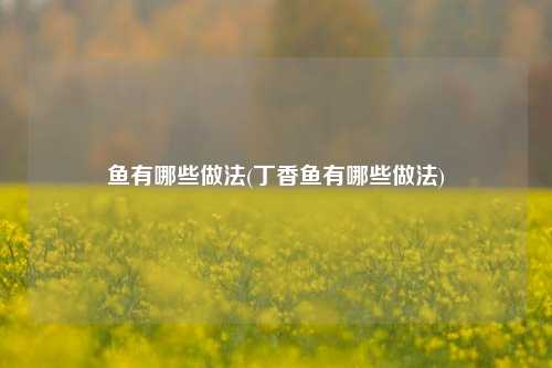 鱼有哪些做法(丁香鱼有哪些做法)
