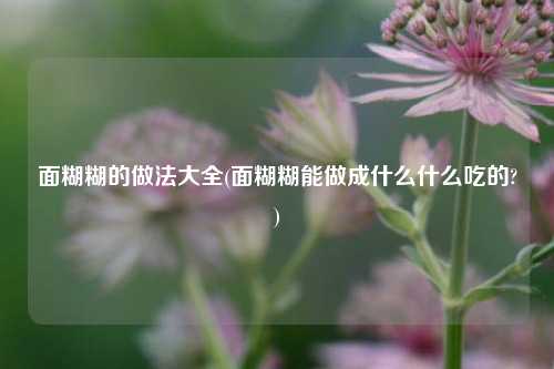 面糊糊的做法大全(面糊糊能做成什么什么吃的?)
