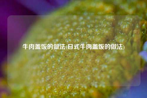 牛肉盖饭的做法(日式牛肉盖饭的做法)