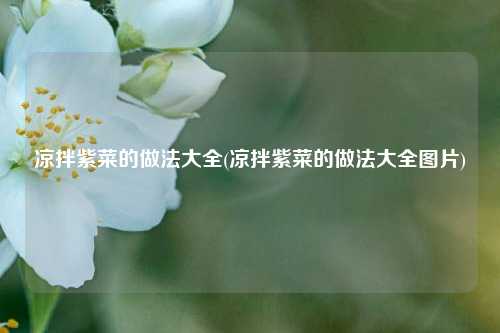 凉拌紫菜的做法大全(凉拌紫菜的做法大全图片)