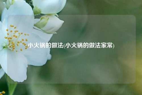 小火锅的做法(小火锅的做法家常)
