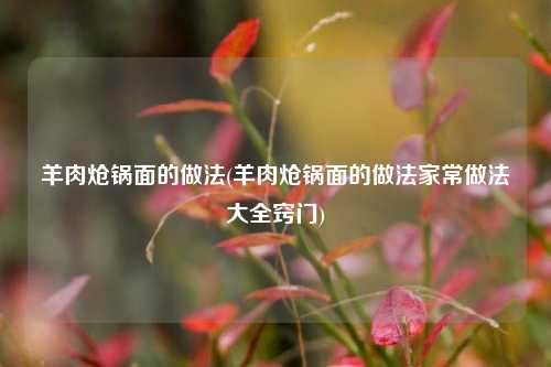 羊肉炝锅面的做法(羊肉炝锅面的做法家常做法大全窍门)