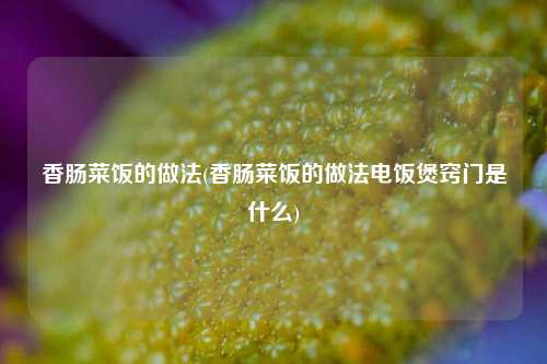 香肠菜饭的做法(香肠菜饭的做法电饭煲窍门是什么)