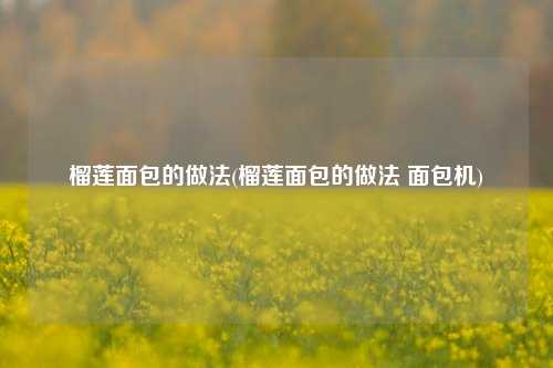 榴莲面包的做法(榴莲面包的做法 面包机)