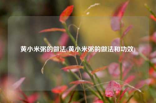 黄小米粥的做法(黄小米粥的做法和功效)